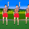 玫香广场舞《雨中泪》正背面附教学下载