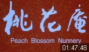 豫剧《桃花庵》全场戏下载