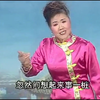 河南坠子《杨二郎劈山救母》莫红梅演唱下载