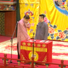 万人迷下载