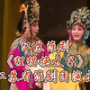 江苏淮剧《狸猫换太子》全剧 江苏省淮剧团演出下载