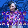 江苏现代淮剧《首乌花开》全剧 滨海县淮剧团演出下载