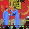 大审案下载