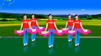 玫香广场舞《中国红》正背面附教学下载
