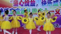 幼儿舞蹈《小花朵》下载
