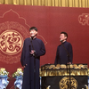 语言的魅力下载