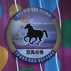 楼台会下载