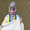 2015京剧川剧名家名段演唱会下载