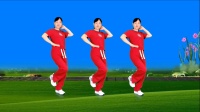玫香广场舞原创《半辈子过去了》64步正背面附教学下载