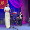 京韵大鼓《黛玉焚稿》