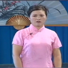 河南坠子《何文秀私访》下载