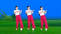 玫香广场舞《你会爱我到什么时候》正背面附教学下载