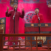 羊上树下载