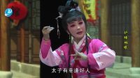 莆仙戏《护储姻缘》全剧下载