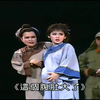 河洛精致歌仔戏《台湾我的母亲》下载