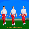 玫香广场舞《转身就是一辈子》正背面附教学下载