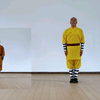 达摩易筋经（韦陀十二式）下载
