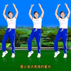 玫香广场舞《荷塘月色》正背面附教学下载