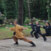 易筋经完整版（带口令词）下载