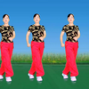 玫香广场舞《歌唱祖国》正背面附教学下载