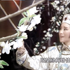 叶青歌仔戏《春江花月夜》第13集下载