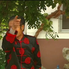 西河大鼓《杨金花夺印》下载