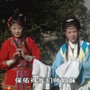庐剧《地宝图》全集