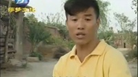 作证招灾下载