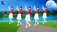 广场舞《画月亮》附教学口令 好看好学又健身下载