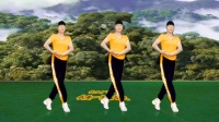 广场舞《我要一生陪你走》好听好看下载