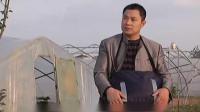 小淮剧《打工归来》下载