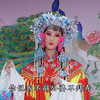 歌仔戏《打金枝》下载