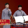 树没叶下载