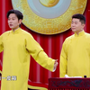 厢里箱外下载