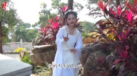 歌仔戏《潇湘如画》第五集下载