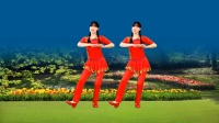 阳光香果广场舞《泪蛋蛋打湿心尖尖》正背面演示下载