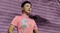 河南坠子《玲珑塔》片段下载