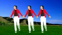 富平百合广场舞《烈马》完整版下载