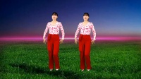 DJ广场舞《谁家的姑娘》32步入门舞蹈 好听又好看下载