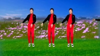 富平百合广场舞《花海相遇》完整版下载
