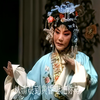 京剧《盘夫索夫》第2集下载