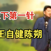天下第一针下载