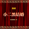 豫剧《小二黑结婚》全场戏 河南豫剧院三团下载