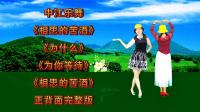 广场舞连跳《相思的苦酒》《为你等待》《为什么》正反面完整版下载