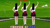 民族风广场舞《中国好姑娘》背面带跳轻松学会下载