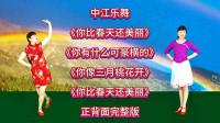 广场舞串烧《你比春天还美丽》《你像三月桃花开》《有什么可豪横的》下载