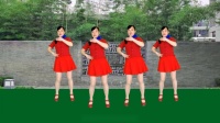 玫香广场舞《下辈子不一定遇见》正背面附教学下载