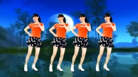 广场舞《明月夜》动感弹跳32步正背面演示下载