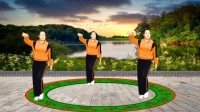 广场舞《成人的世界》简单易学下载