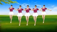 广场舞《风吹桃花开》动感优美32步好听好看下载